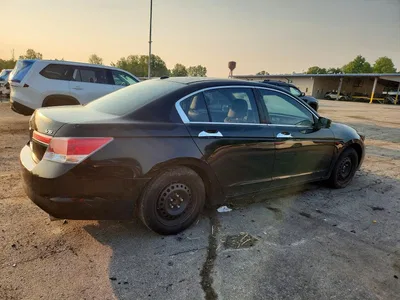 2011 HONDA ACCORD EXL, фото 3, лот 10975887