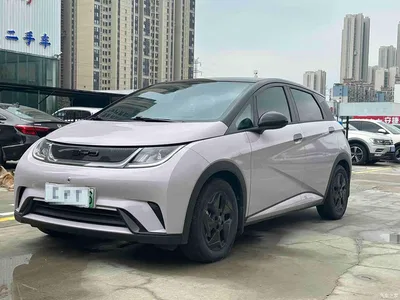 2021 BYD Dolphin Model 405km Fashion Edition, фото 1, лот 10766753