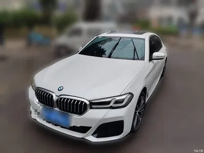 2023 BMW 5 Series 530Li Leading M Sport Package, фото 1, лот 10894374