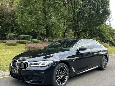 2023 BMW 5 Series 530Li Leading M Sport Package, фото 1, лот 11011459