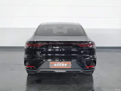 2023 BYD Han DM-i Champion Edition 121KM Honor, фото 4, лот 10249919