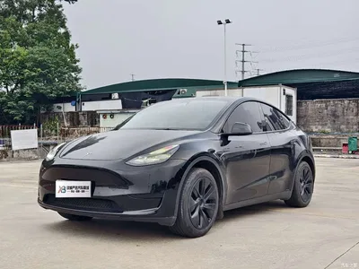 2023 Tesla Model Y Rear-Wheel Drive Edition, фото 1, лот 11012181
