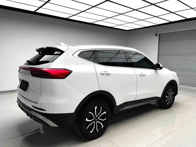 2021 Haval H6 National Trend Edition 1.5T Automatic Urban Edition, фото 4, лот 10301676