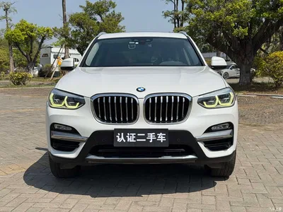 2018 BMW X3 xDrive28i Luxury Package China VI, фото 2, лот 10460546