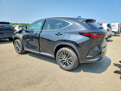 2024 LEXUS NX 350 PREMIUM, фото 2, лот 10900362