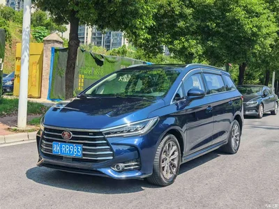 2019 BYD Song MAX 1.5T Auto Smart Connect Progressive 7-seater China V, фото 3, лот 10253587