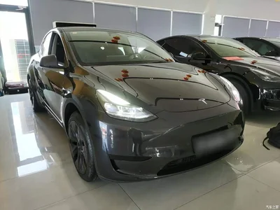2024 Tesla Model Y Rear-Wheel Drive Version, фото 4, лот 10370159