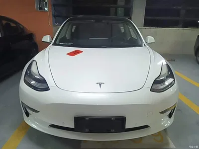 2019 Tesla Model 3 (Import) Long Range RWD Version, фото 3, лот 10369490