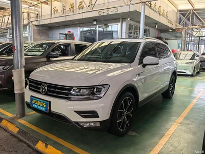 2019 Volkswagen Tiguan L 330TSI Automatic 2WD Smart Luxury Edition China VI, фото 1, лот 11006617