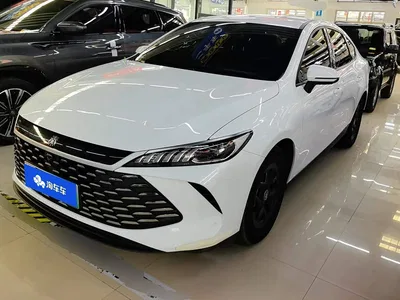 2025 BYD Qin PLUS DM-i Smart Drive 55KM Leader, фото 1, лот 11201893