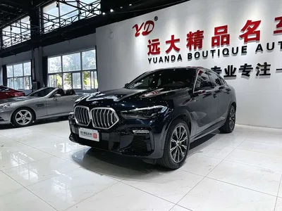 2020 BMW X6 xDrive30i M Sport Package, фото 1, лот 10469203
