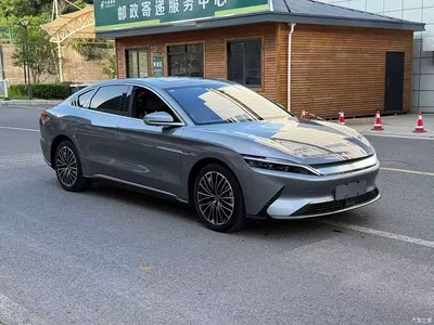 2021 BYD Han EV Standard Range Luxury, фото 1, лот 10250857