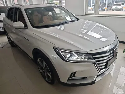 2018 Roewe MARVEL X Rear-Wheel Drive Version, фото 4, лот 10341202