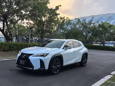 2020 Lexus UX Facelift 200 F SPORT Edition, фото 1, лот 11205687