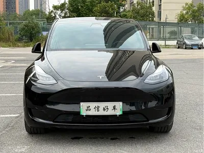 2022 Tesla Model Y Rear-Wheel Drive Version, фото 2, лот 10451952