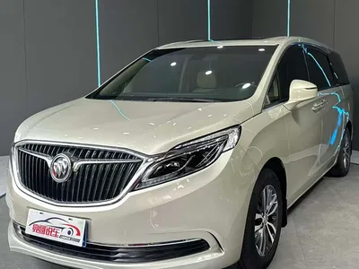 2018 Buick GL8, фото 1, лот 10242953