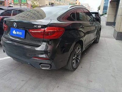 2018 BMW X6 xDrive35i Leading Model, фото 3, лот 10767625