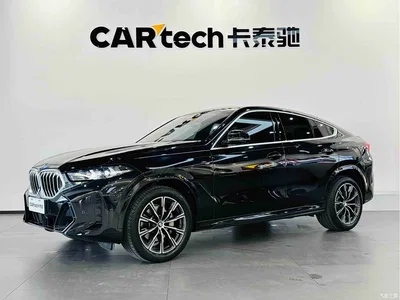 2023 BMW X6 xDrive30i M Sport Package, фото 1, лот 10468985