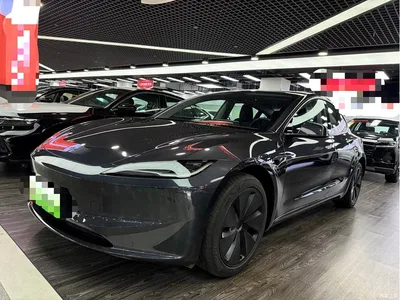 2025 Tesla Model 3 Model Rear-Wheel Drive Edition, фото 1, лот 10346234