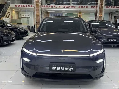 2025 Tesla Model Y Rear-Wheel Drive, фото 2, лот 11496965