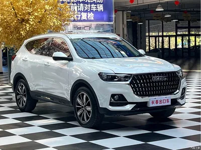 2023 Haval H6 National Trend Edition 1.5T Automatic Champion, фото 3, лот 10414967