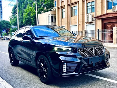 2020 WEY VV7 Model 2.0T Flagship, фото 2, лот 10451939