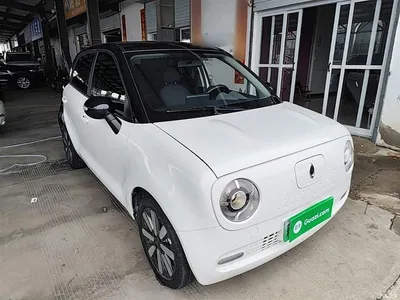 2021 Ora Black Cat 351km Standard Model, фото 4, лот 10330696