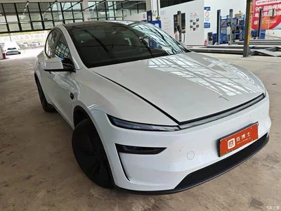 2025 Tesla Model Y Rear-Wheel Drive, фото 2, лот 11062420