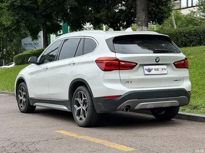 2019 BMW X1 sDrive18Li Premium Model, фото 4, лот 11200698
