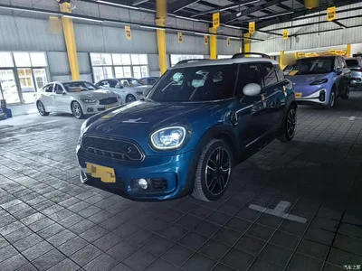2018 MINI COUNTRYMAN 2.0T COOPER S ALL4 Racer, фото 1, лот 10333122
