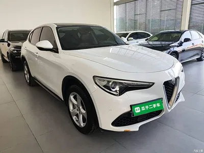 2017 Alfa Romeo Stelvio 2.0T 200HP Elite, фото 4, лот 10240264