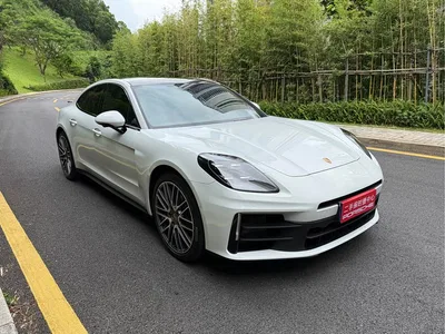 2024 Porsche Panamera 2.9T, фото 3, лот 10423426