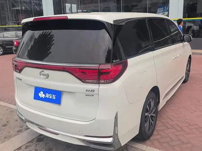 2021 GAC Trumpchi Trumpchi M8 Leading Show Series 390T Premium Edition, фото 3, лот 10887687