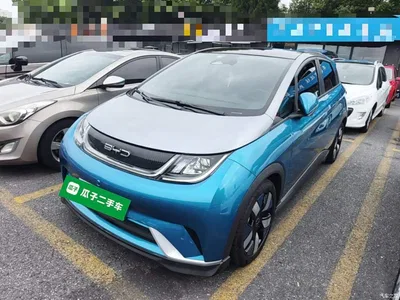 2021 BYD Dolphin 401km Knight Edition, фото 2, лот 10803777
