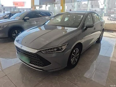 2024 BYD Qin PLUS Glory Edition DM-i 55KM Leading, фото 2, лот 10388598
