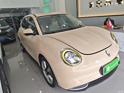 2023 Ora Good Cat 401km Standard Range Premium LFP, фото 4, лот 10667241