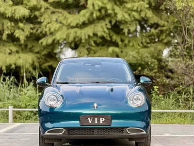 2024 Ora Good Cat 401km Honor 135kW, фото 2, лот 10331563