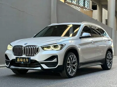 2022 BMW X1 xDrive25Li Premium, фото 1, лот 10467359