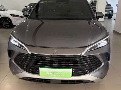 2025 BYD Song L DM-i Smart Drive Edition 112km Surpassing, фото 3, лот 10620529