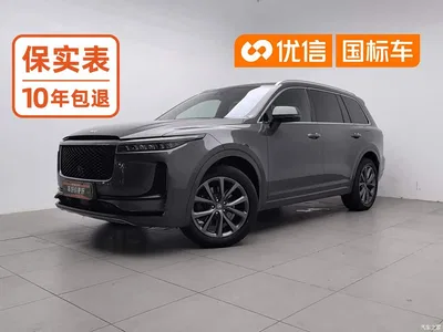 2020 Li Auto Li ONE Extended Range 6-seater, фото 1, лот 10830491