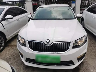 2017 Škoda Octavia 1.6L Automatic Pioneer Edition, фото 3, лот 10348094