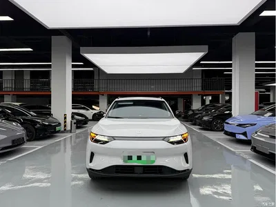 2023 Leapmotor C11 Pure Electric 500 Comfort Edition, фото 2, лот 10443914