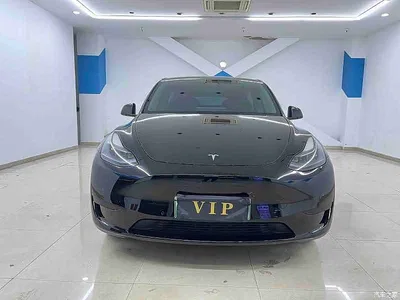 2024 Tesla Model Y Rear-Wheel Drive Version, фото 2, лот 11002819