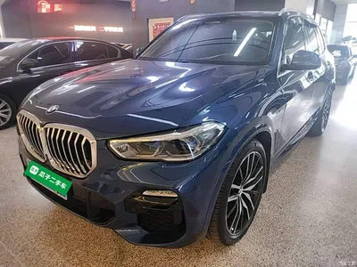 2019 BMW X5 (Import) xDrive40i Exclusive M Sport Package, фото 2, лот 10464390