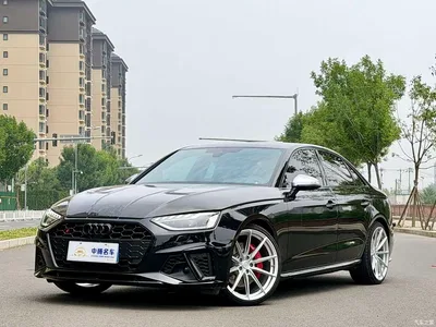 2023 Audi S4 3.0TFSI, фото 1, лот 10469446