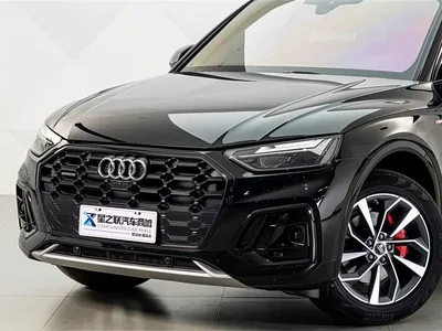 2024 Audi Q5L Model 40 TFSI Luxury Dynamic, фото 2, лот 10611423