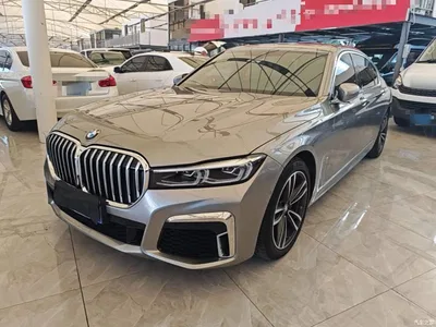 2019 BMW 7 Series Facelift 730Li M Sport Package, фото 1, лот 10459781