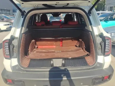 2022 Haval Big Dog 1.5T DCT FWD Border Collie Edition, фото 4, лот 10662415