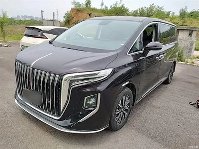 2024 Hongqi HQ9 PHEV Model 2.0T AWD Business Edition, фото 1, лот 10289931