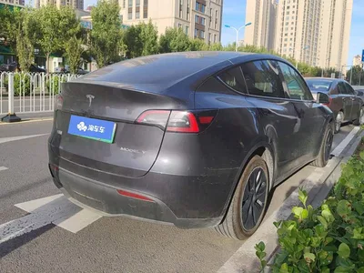 2024 Tesla Model Y Rear-Wheel Drive Version, фото 2, лот 11247855